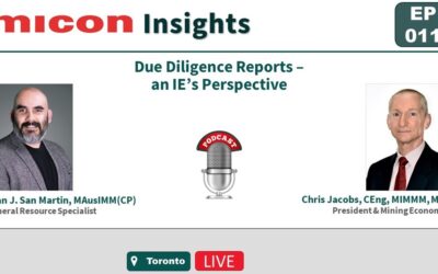 Micon Insights – Diligence Reports – an IE’s Perspective