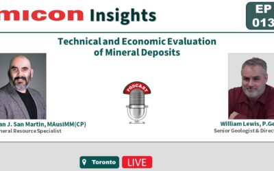 Micon Insights – Technical and Economic Evaluation of Mineral Deposits